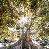 personalgrowth