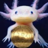 Crypto-Awareness official Blog