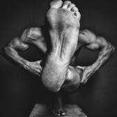 xqanxxx