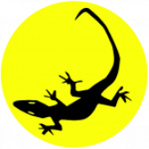 Lizard