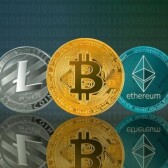 My Experience Inside The Crypto World.