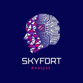 Cyber_skyfort
