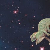 Another Blog