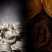 Juls Crypto-MLM