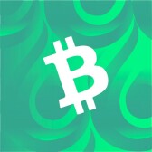 BitcoinCashSite