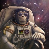 TheBananonaut