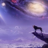 Mindful Body:  Fitness, Nutrition, and Meditation