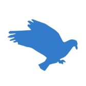 Defi Money Market