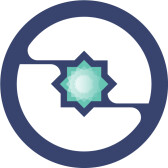 Insights Network