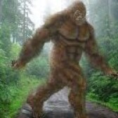 Bigfoot and Beyond