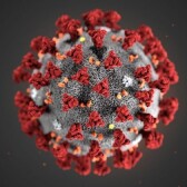 Nei giorni del Coronavirus a Torino