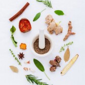 THE HEALING PROPERTIES OF HERBS