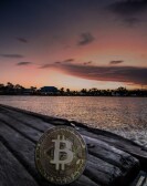 Stories of HODL