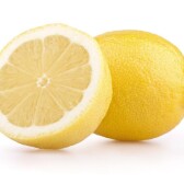 Crypto_Lemon