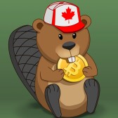 Crypto Beaver