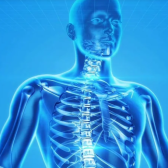 Medical Terminology on Blockchain