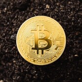 CryptoForever