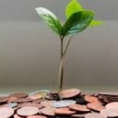 BumiCrypt
