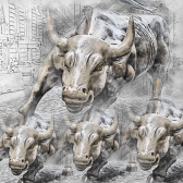 BullSquad