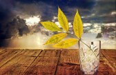 (IJCH) Life, People, and Philosophy