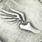aarqa