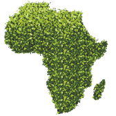 Crypto in Africa