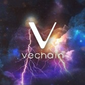 HODLing VET? The Answer Is Hiding In Plain Sight