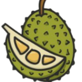 durianfi