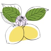 Sour Satire