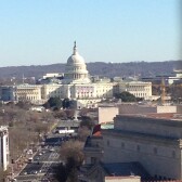 Texas Boy in a DC World