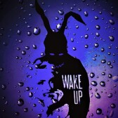 fr4nkth3rabb1t ✌🏻🐰