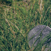 Journey from a penny to pennies