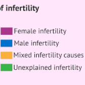 natural pregnancy
