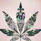 Walloom
