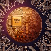 Central Bank Digital Currencies (CBDCs)