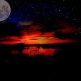 Informative and interesting articles