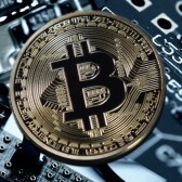 Newbies and Crypto Exchange