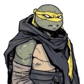 TurtleCoin