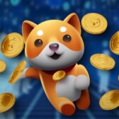What  Is Babydoge?