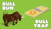 Bull Trap, economy trickery or More?