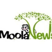 Moola News