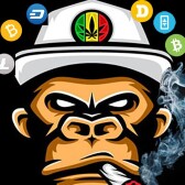 Criticallz Crypto Journey