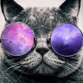 The Bunny world crypto flash news