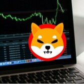 Shiba Inu coin in 2022