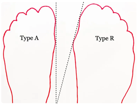 TYPES