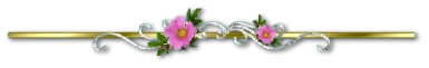 26c39d847d68edb7c0e7c16b1788a32fb3ebebb10dd190e0f9f49be3692cabb3.png