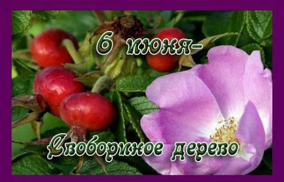 a339970a869bad875f62cf1f66e4313eb415dc581928a436038aecb88fe80bd6.png