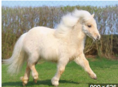 267f7526d30d4e1215bea239386171e11efb49f388e09555feabf4965366b655.png