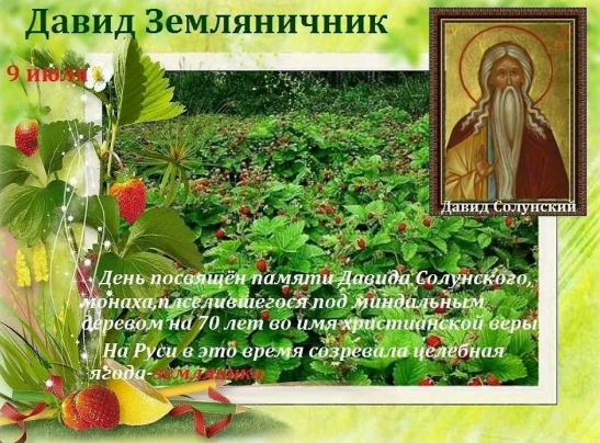 1fe802eeeb453354c1a0ef67599f13faa47a340d755c57a5ccf2b3f0f910e8d4.png