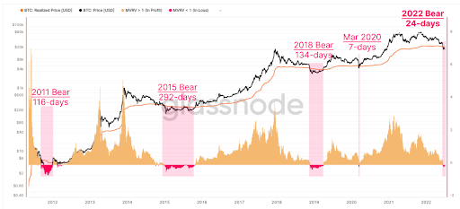 Bear Market